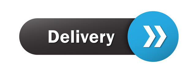 DELIVERY black and blue vector web button