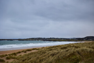 dune and beach with lots of vegetation in the process of restoring its natural habitat, Killahoey Strand near Dunfanaghy, Donegal, Ireland. wild atlantic way
