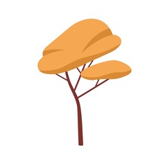 Abstract deciduous autumn forest tree with orange crown. Wood foliage leafy plant with trunk. Botanical flat cartoon vector illustration isolated on white background