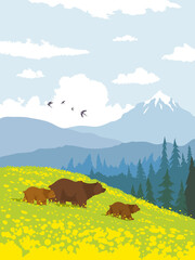 bears nature mountains