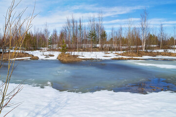  Spring landscape. Landscape with melting snow and thawed patches in the forest. Forest pond in...