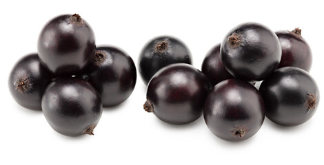 black currant isolated on white background. macro. clipping path