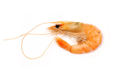 fresh shrimp isolated on a white background