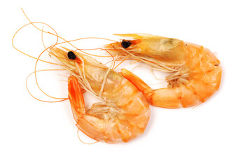 fresh shrimp isolated on a white background