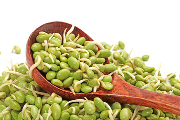 green soybean sprouts on white background