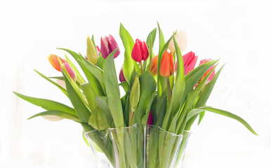 Tulips with different colors and green leaves and stems