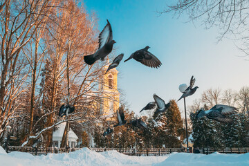 Fototapety na wymiar - Fototapeta24.pl