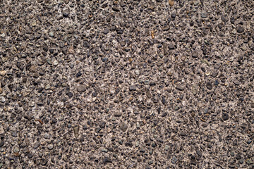 Worn Concrete, Rocky Sidewalk Texture