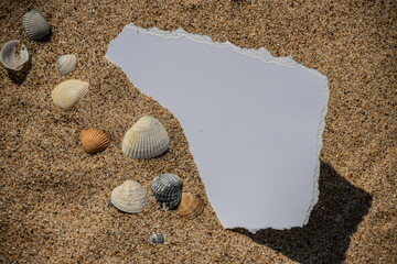 Fototapeta na wymiar Blank white sheet of paper on white sand with seashells and stones. Message by the sea, romance, valentine's day, mother's day, father's day. Copy space