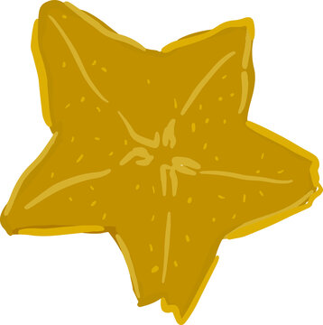Isolated vector colourful averrhoa carambola in cartoon style