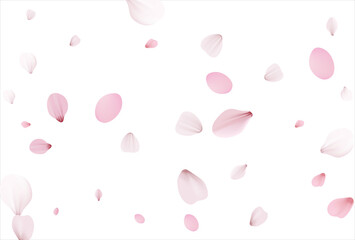 Pink sakura vector background, cherry flowers