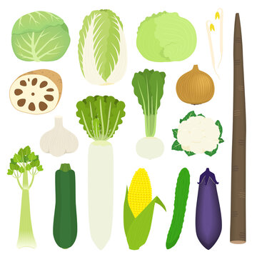 淡色野菜images Browse 1 433 Stock Photos Vectors And Video Adobe Stock