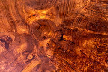 Closeup of tree stump with rough organic texture of tree annual rings