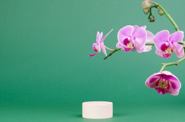 Podium for advertising products on a green background with orchid flowers