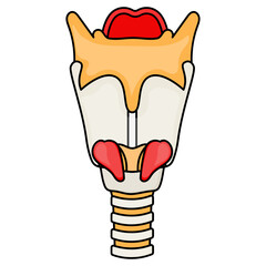 Lumbar vertebrae Vertebral column Concept Vector color Icon Design, Organ System Symbol, Human Anatomy Sign, Human Body Parts Stock illustration