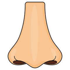 nostrils Vector color Icon Design, Organ System Symbol, Human Anatomy Sign, Human Body Parts Stock illustration, Nose Front View Concept, 