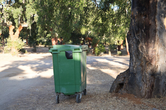 Waste container in a forest in order to recycle and not pollute the environment. Infectious control concept.