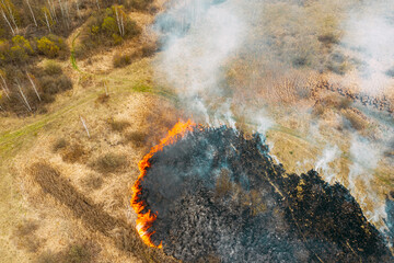 Aerial View. Spring Dry Grass Burns During Drought Hot Weather. Bush Fire And Smoke In Meadow...