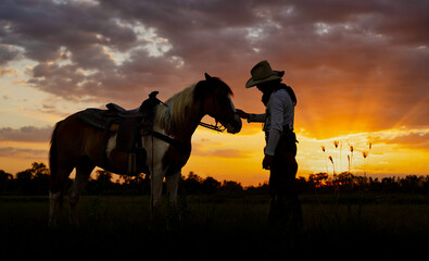 Fototapeta premium cowboy man american west with horse in rice field time shadow sunlight.