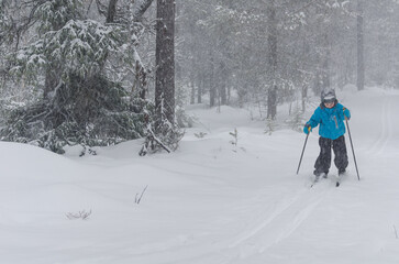 Young cross country skier in forest, Sweden.