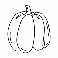 Line art pumpkin. Doodle autumn vegetable for Halloween. Isolated element on a transparent background