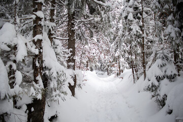 Mountain views in winter, snow and sun
