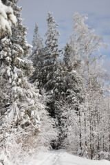 Mountain views in winter, snow and sun