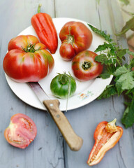 ripe seasonal tomatoes on a plate in the garden