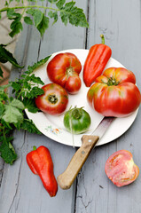 ripe seasonal tomatoes on a plate in the garden