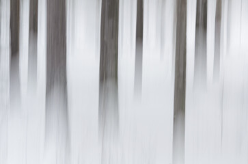 Blurry trees during camera movement