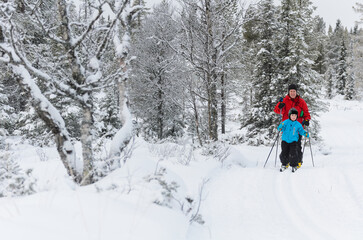 Young cross country skier in front of mother, Sweden.