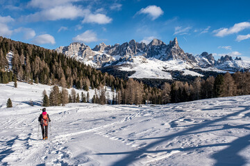 Fototapeta na wymiar Trentino, escursione invernale