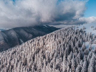 beautiful winter in Carpathian mountain
