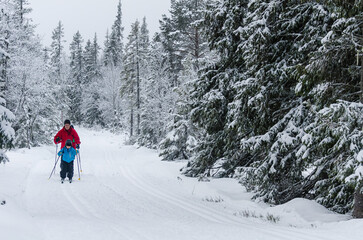 Young cross country skier in front of mother, Sweden.