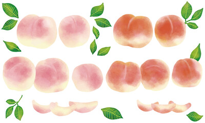 水彩風 淡い桃色とオレンジピンクの桃 Watercolor Fruit Series:Pale peach and orange-pink peaches