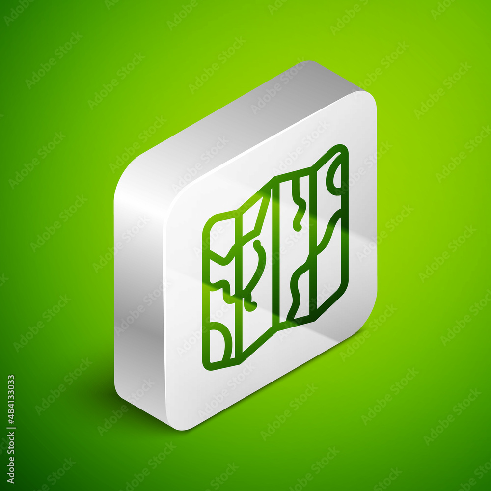 Poster isometric line folded map icon isolated on green background. silver square button. vector