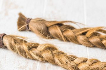 Two braids on a white background, cut for wig donation