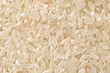 close up shot of the rice backgroun