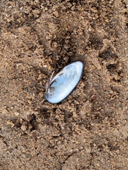 sandy river bank on a clear day