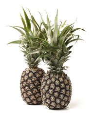two  green pineapple on white background