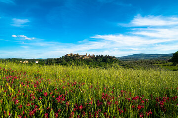The city of Certaldo Florence seen from a field of flowers