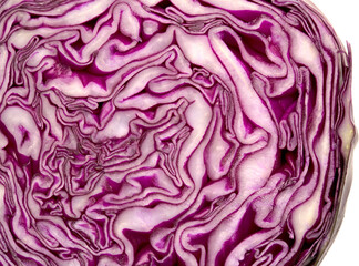 Cut though the middle of a red cabbage head, beautiful dark purple and white patterns revealed
