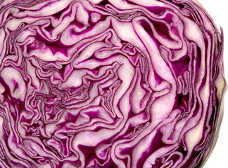 Fototapeta premium Cut though the middle of a red cabbage head, beautiful dark purple and white patterns revealed 