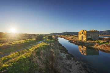 Castiglione della Pescaia Maremma, Diaccia Botrona natural reserve. Tuscany, Italy