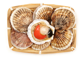 Raw scallop 