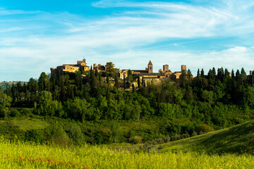Fototapeta na wymiar The historic city of Certaldo Florence seen with green wheat field