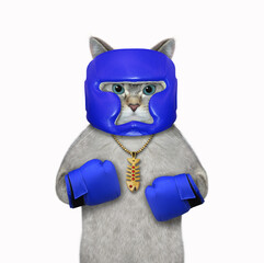 An ashen cat athlete with a golden medal dressed a blue boxing uniform. White background. Isolated. - 484140678