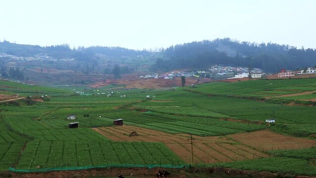 countryside rural farming field with mountain and flat sky background