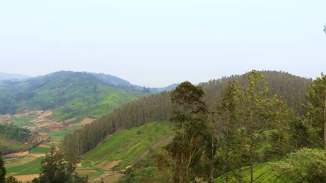 tea garden mountain view with countryside farming field at morning