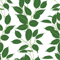 Vector seamless pattern with ficus leaves. Summer ornament for textile, print or wallpaper. Eco concept. Decorative floral design. Natural product on isolated background.
